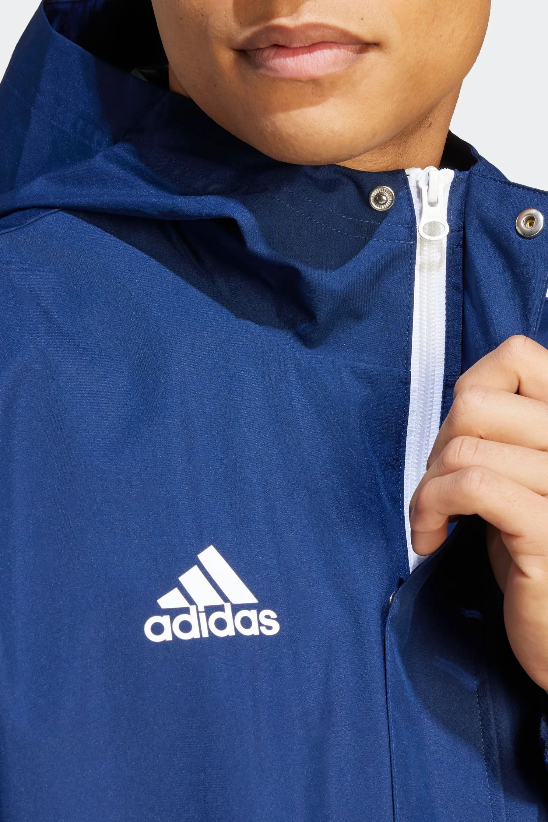 adidas - Entrada - Giacca meteo