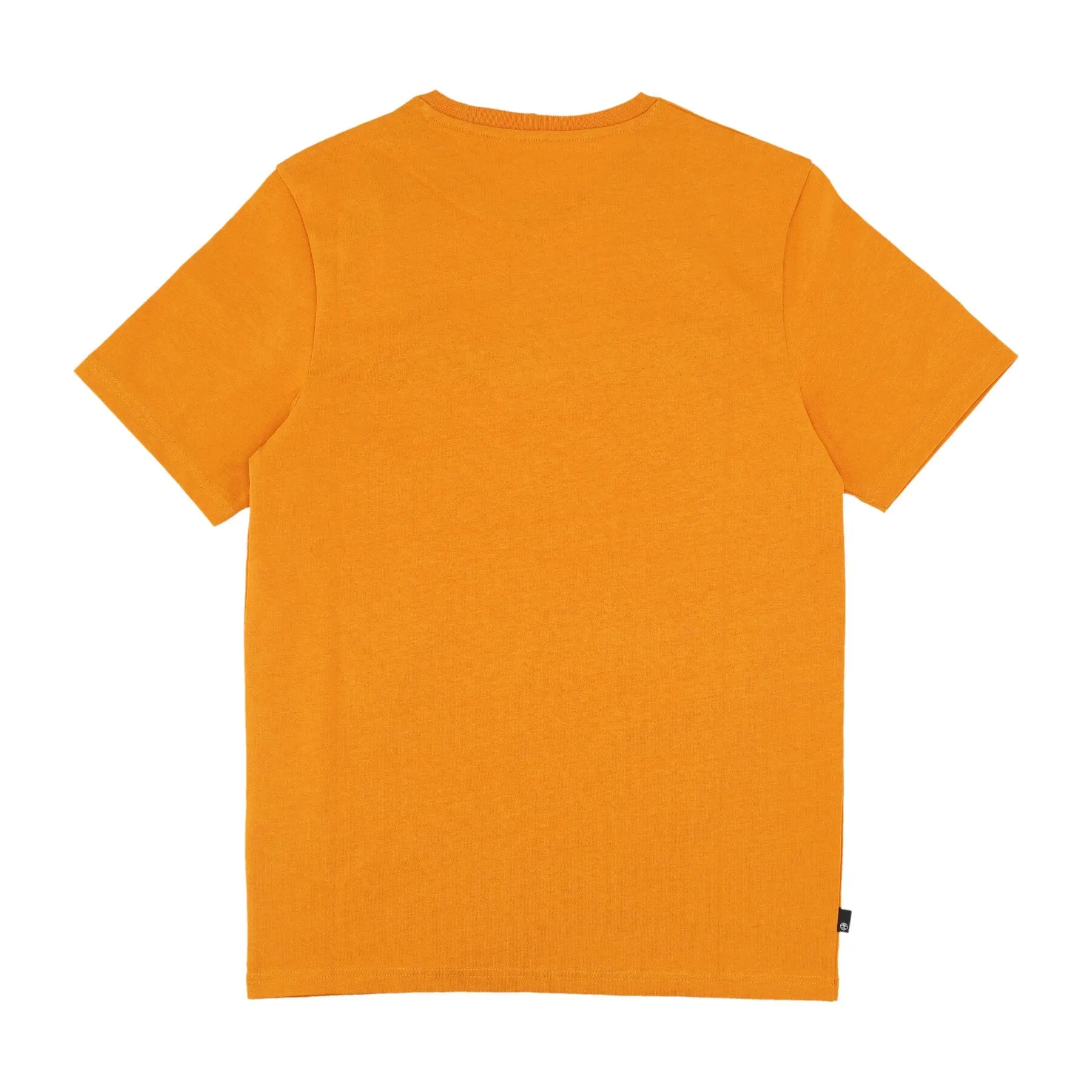 Maglietta Uomo Est 1973 Tee Dark Cheddar